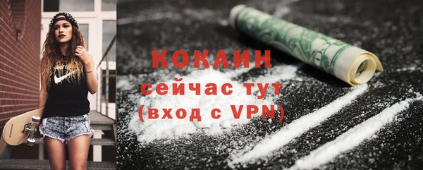 твердый Надым