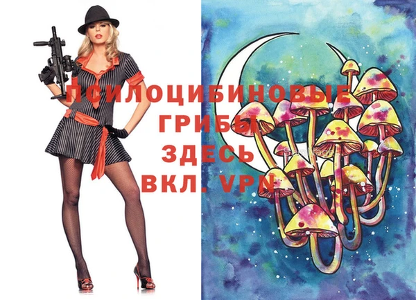 МДПВ Лагань