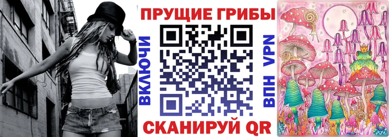 Псилоцибиновые грибы MAGIC MUSHROOMS  Купить закладки  Вытегра 